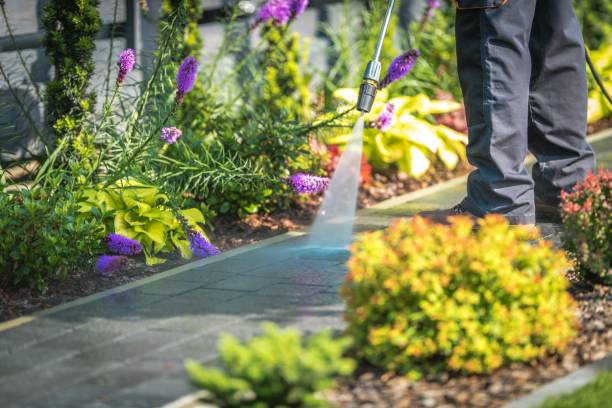 Best Dumpster Area Cleaning  in Hamilton Square, NJ